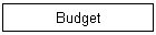 Budget